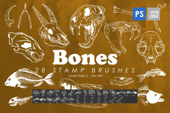 Adding Edge and Texture with Bones Photoshop Stamp Brushes