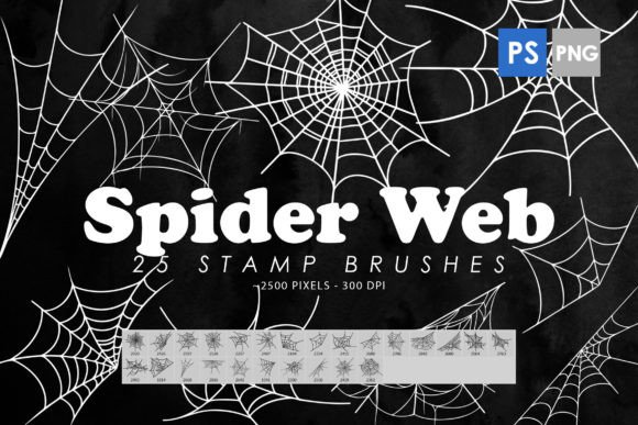 Spider Web Photoshop Stamp Brushes: Elevating Digital Design with High-Resolution Texture